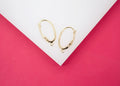 24mm French Lever Earring Hooks Closure With Dangle Hoop